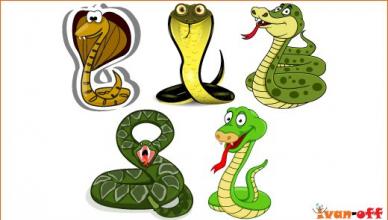 Змея в мифологии разных времен и народов Мифологическая змея 5 букв